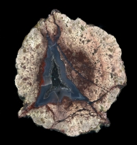 Hauser Thunderegg