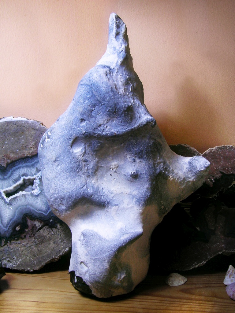 Massive Flint Nodule - Flipping the Finger