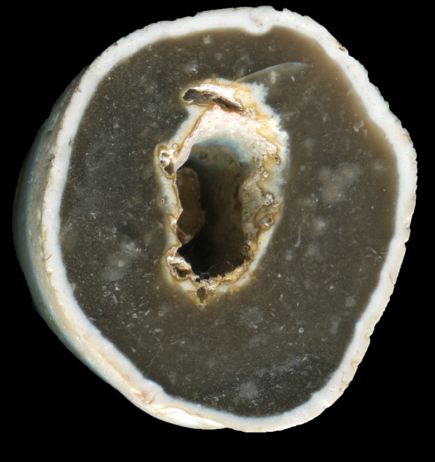 Simple Pevensey Bay Flint 'Hagstone'