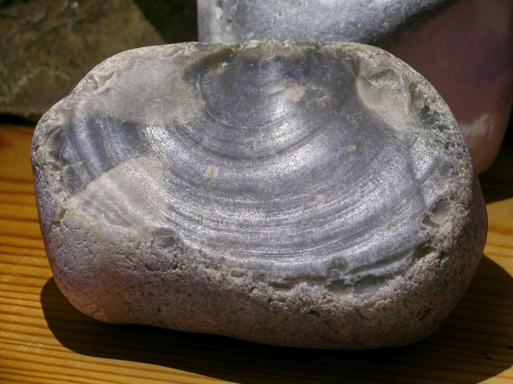 Pevensey Bay Flint with Dense Textured Interior