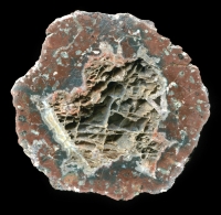 Gottlob Thunderegg