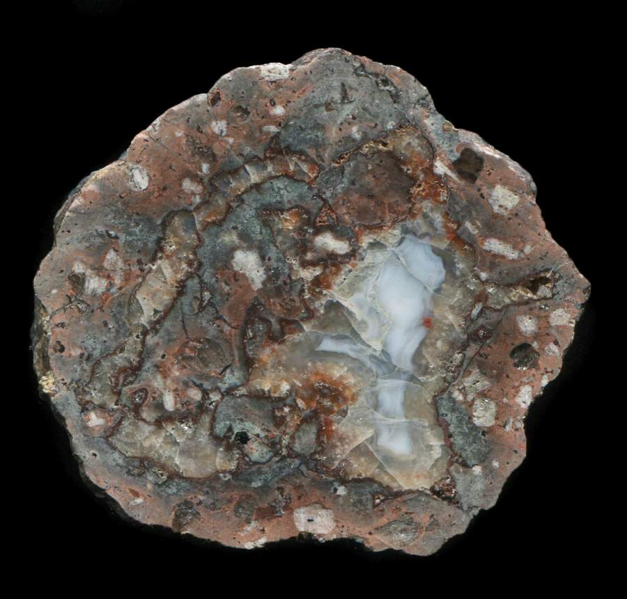 Tiny Gottlob Thunderegg