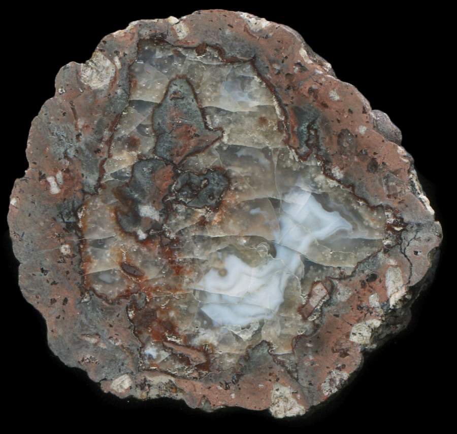 Tiny Gottlob Thunderegg