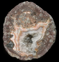 Köpfchen Thunderegg
