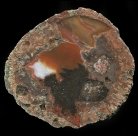 Kopfchen Thunderegg