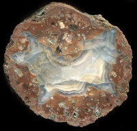 pfchen Thunderegg