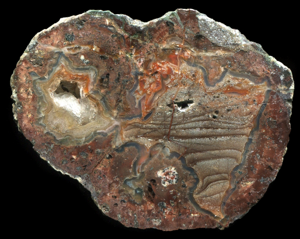 Köpfchen Thunderegg with Silicified Mud