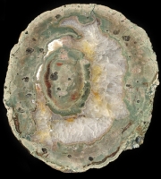 Nesselhof Thunderegg