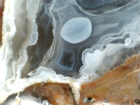 Lesbos Thunderegg detail shot