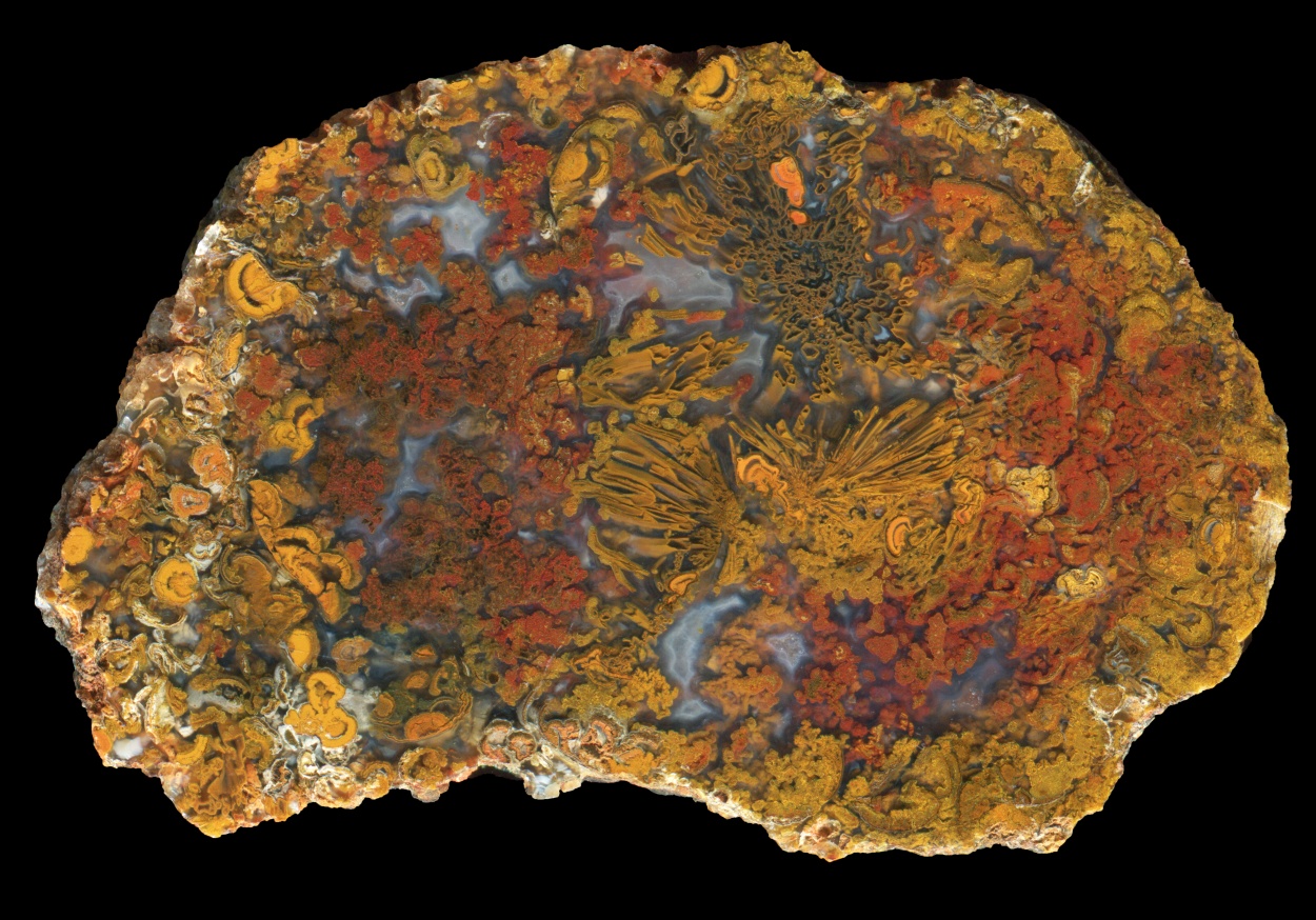Pair of "Royal Imperial Jasper" Halves with Beautiful Banding