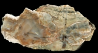 The Lava Road - Hollow Moor Thundereggs