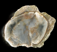 The Lava Road - Hollow Moor Thundereggs