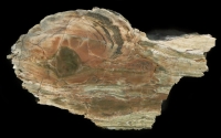 The Lava Road - Sadgill #1 Thundereggs