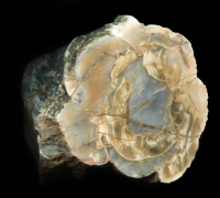 Tiny Biconoid Sadgill #2 Thundereggs