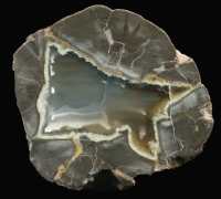 Unknown Thunderegg