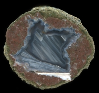 From the mojave national preserve