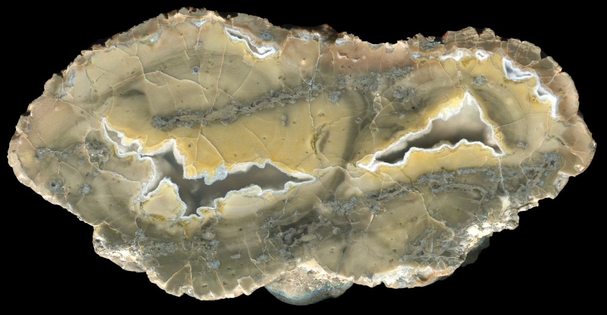 Simple Meadow Bed Thunderegg