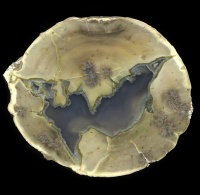 Donnybrook Thunderegg