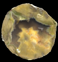 Donnybrook Thunderegg