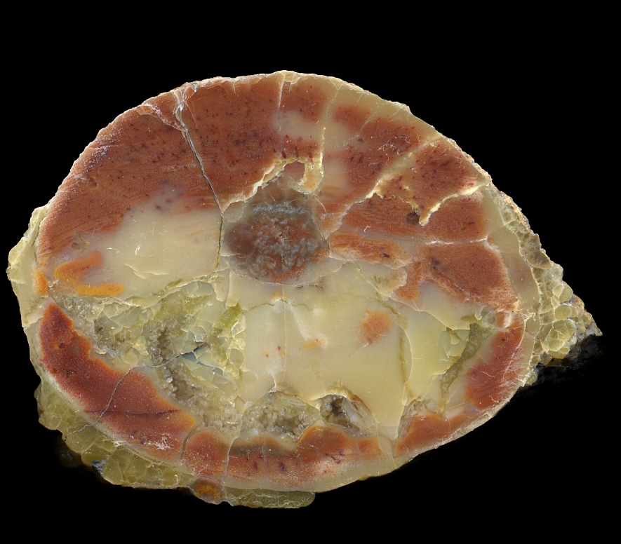 Bizarre Red-Stained Donnybrook