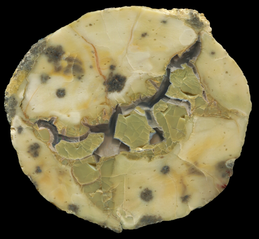 Donnybrook Thunderegg - Pale and Blotchy.