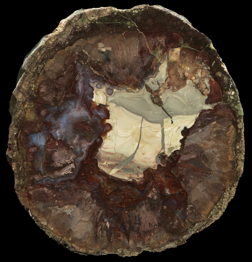 Large Buchanan Thunderegg with Cream Jasper