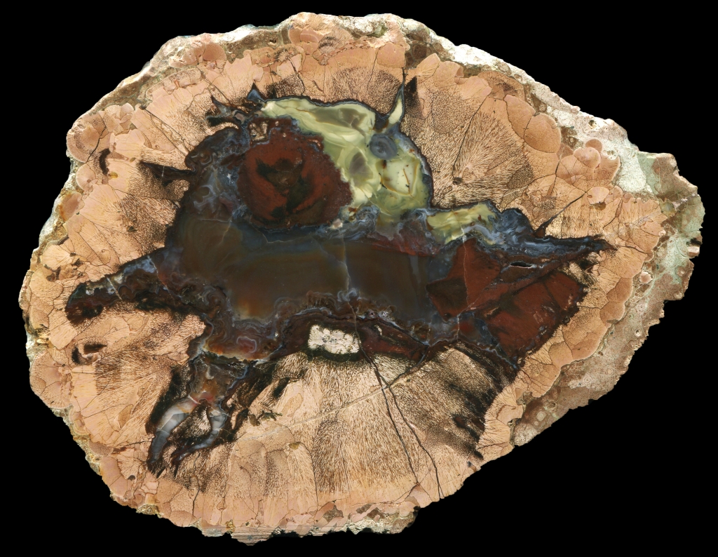Large Buchanan Thunderegg with Hints of Swirled Yellow