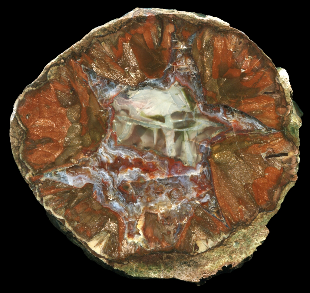 Buchanan Thunderegg with Brecciated Greenish Jasper