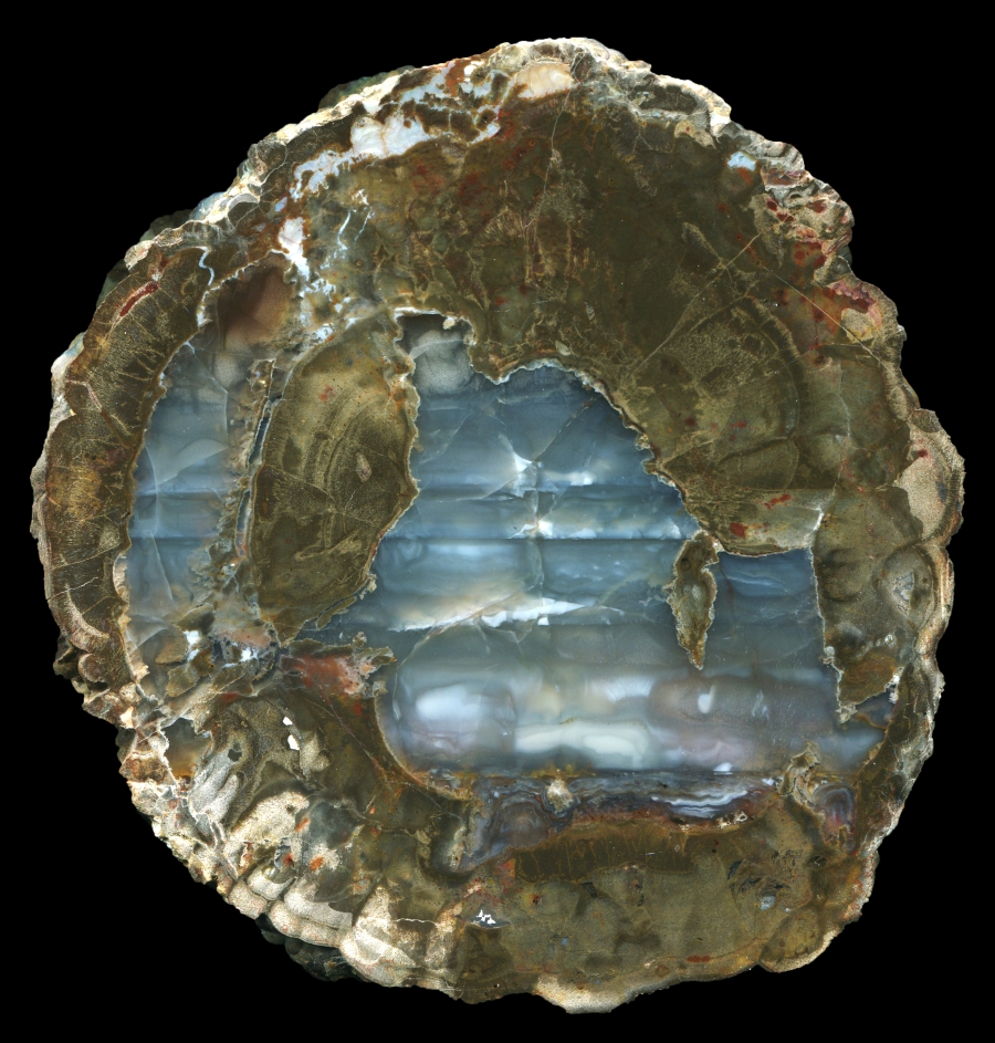Unusual Buchanan Thunderegg with Clear Solid Agate