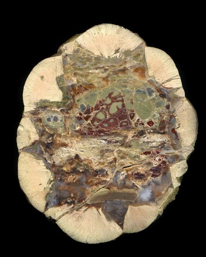 Buchanan Thunderegg with Unusual Mottled Jasper