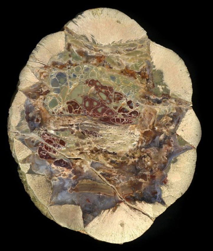 Buchanan Thunderegg with Unusual Mottled Jasper