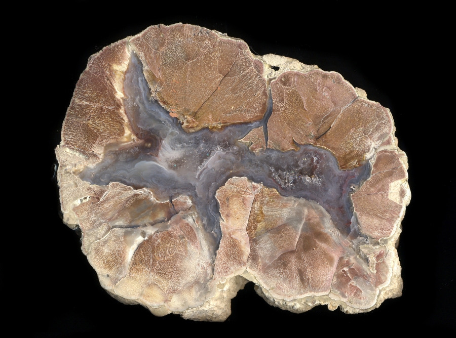 Buchanan Thunderegg