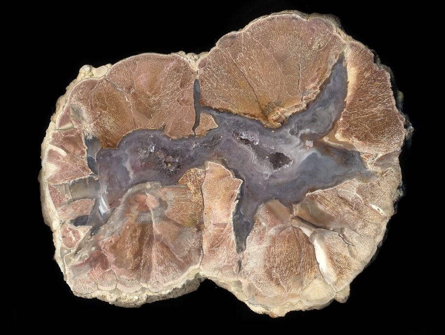 Beautiful Simple Buchanan Thunderegg