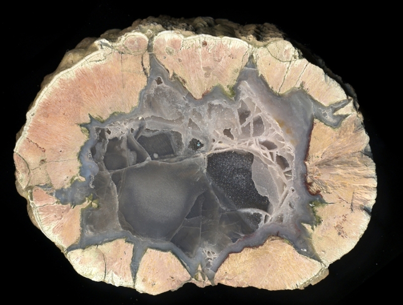 Buchanan Thunderegg with Rare Honeycomb Formation