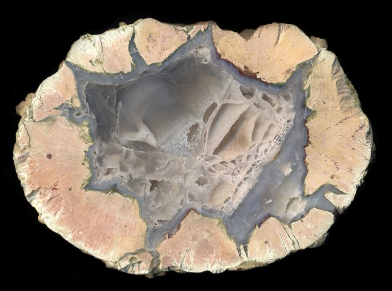 Buchanan Thunderegg with Rare Honeycomb Formation