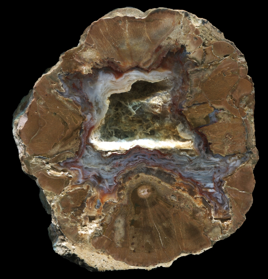 Buchanan Thunderegg