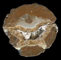 Ochs Ranch / Pony Creek Thunderegg