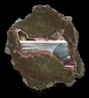 Pink Abby Thunderegg