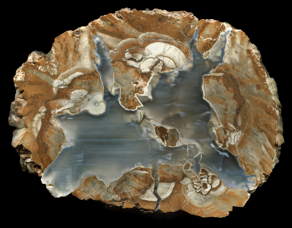 Beautiful Float Egg from near the Road to the Moss bed