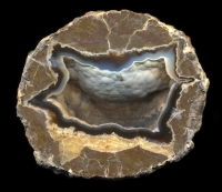 Swanson Thunderegg