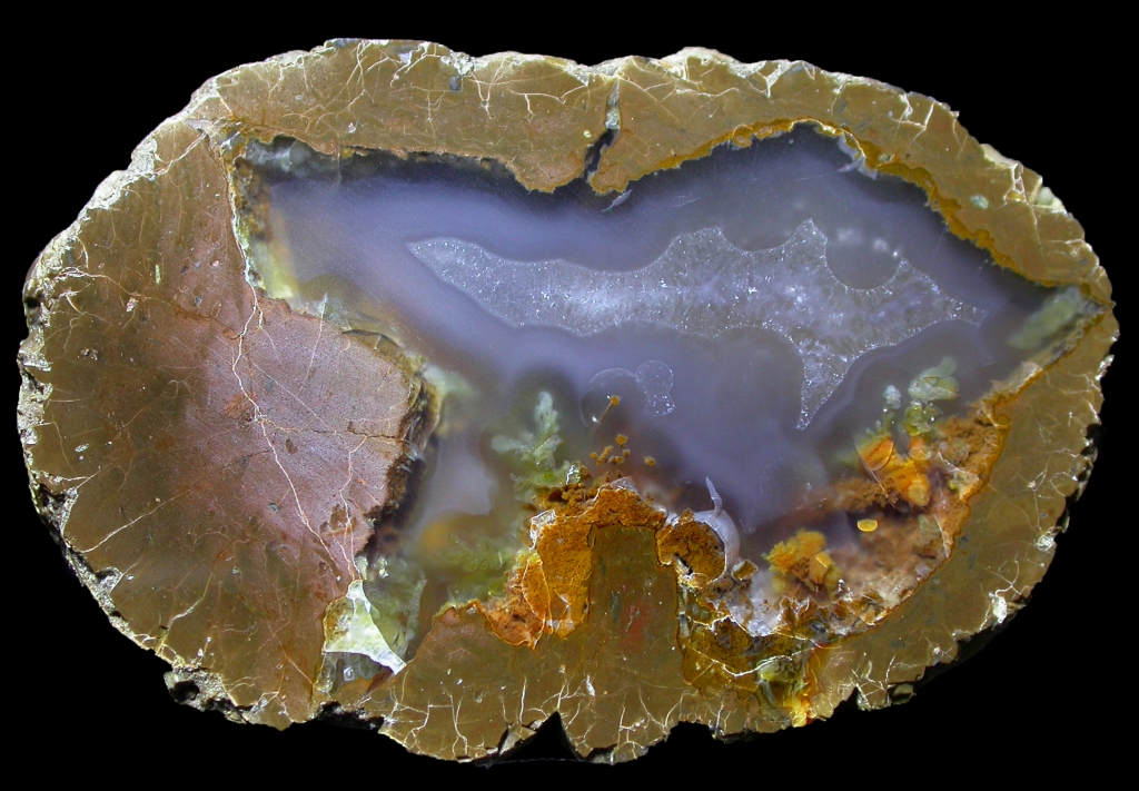 Wild Iris Thunderegg with Complex Plume Garden