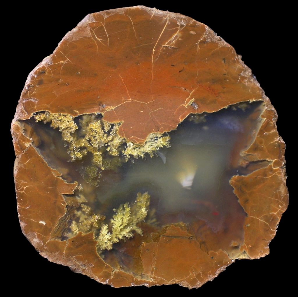 Wild Iris Thunderegg with Delicate Plume