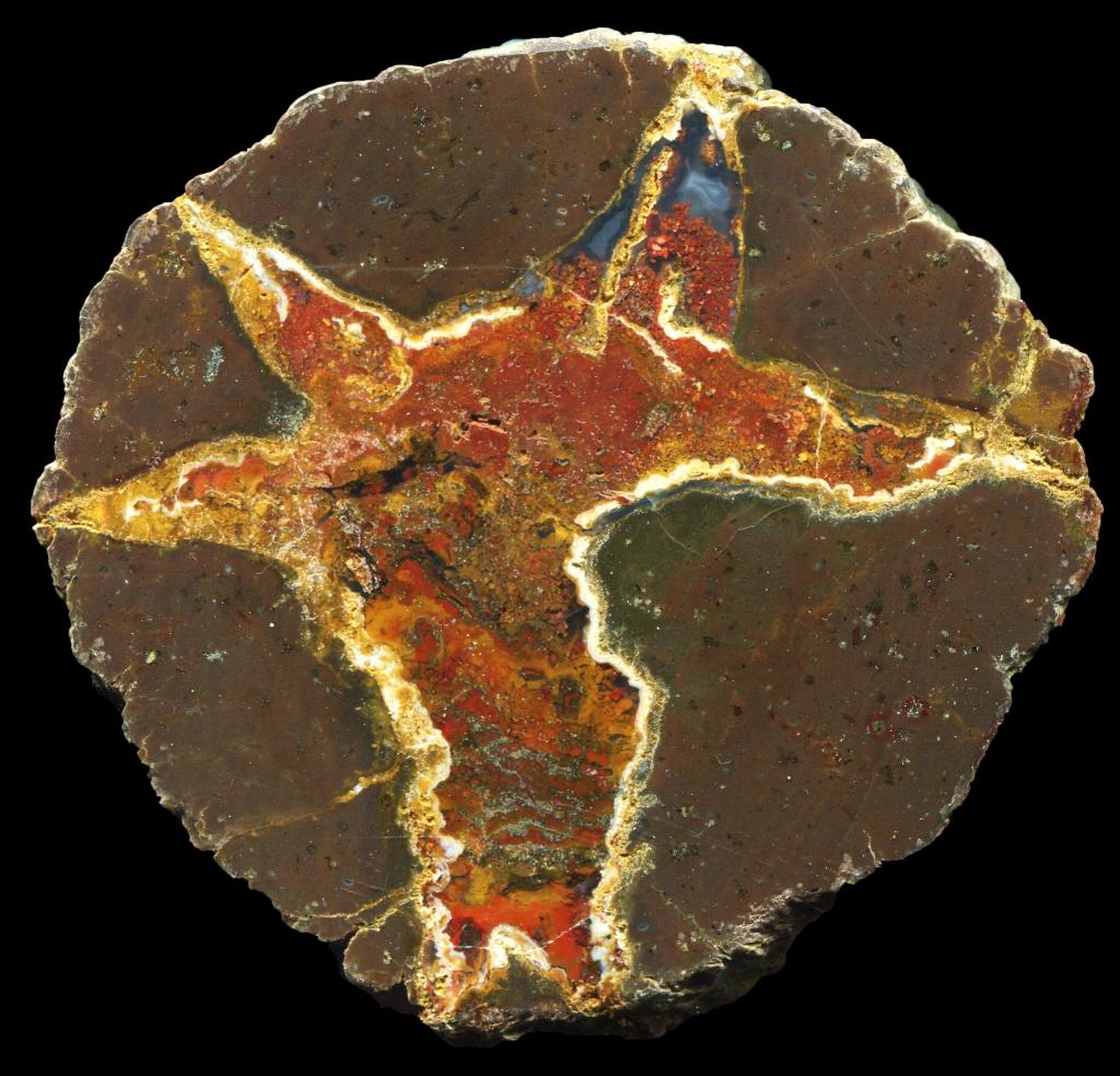 Almost Entirely Mineralised Bed 79 Thunderegg