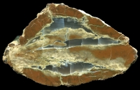 Antelope Thundereggs