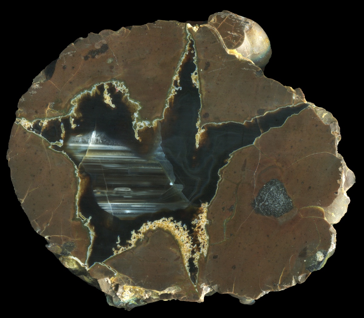 Deer Haven Thunderegg with Waterline Agate