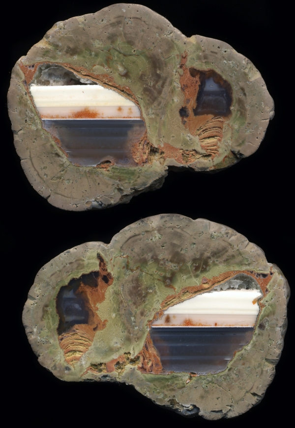 Fallen Tree Thunderegg
