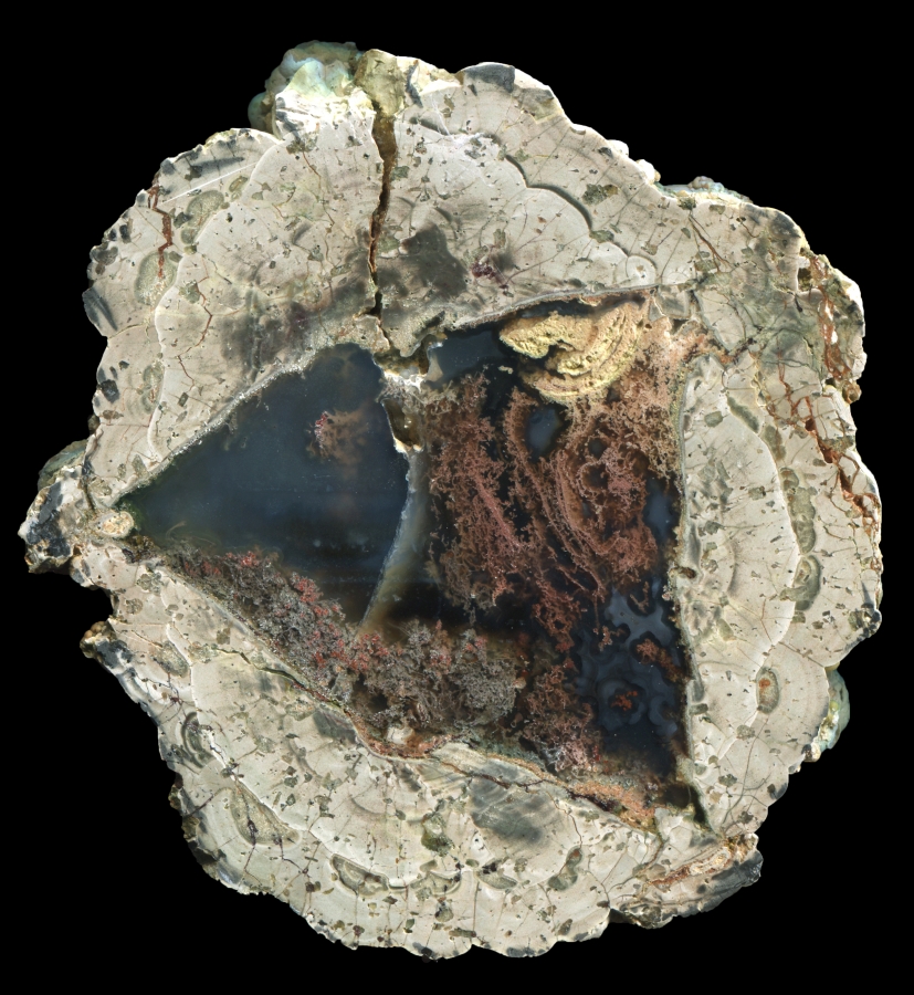 Fallen Tree Thunderegg with Complex Moss