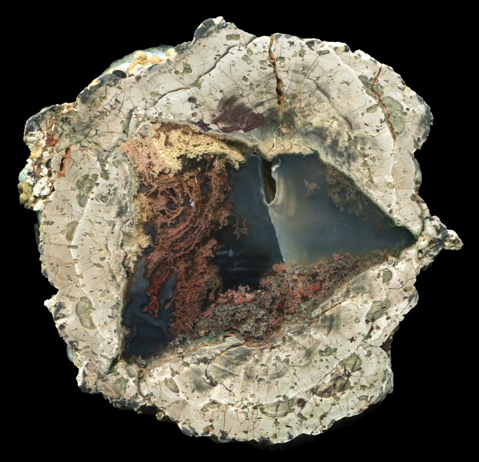 Fallen Tree Thunderegg with Complex Moss