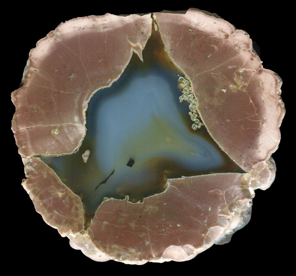 Graceful Radford Thunderegg