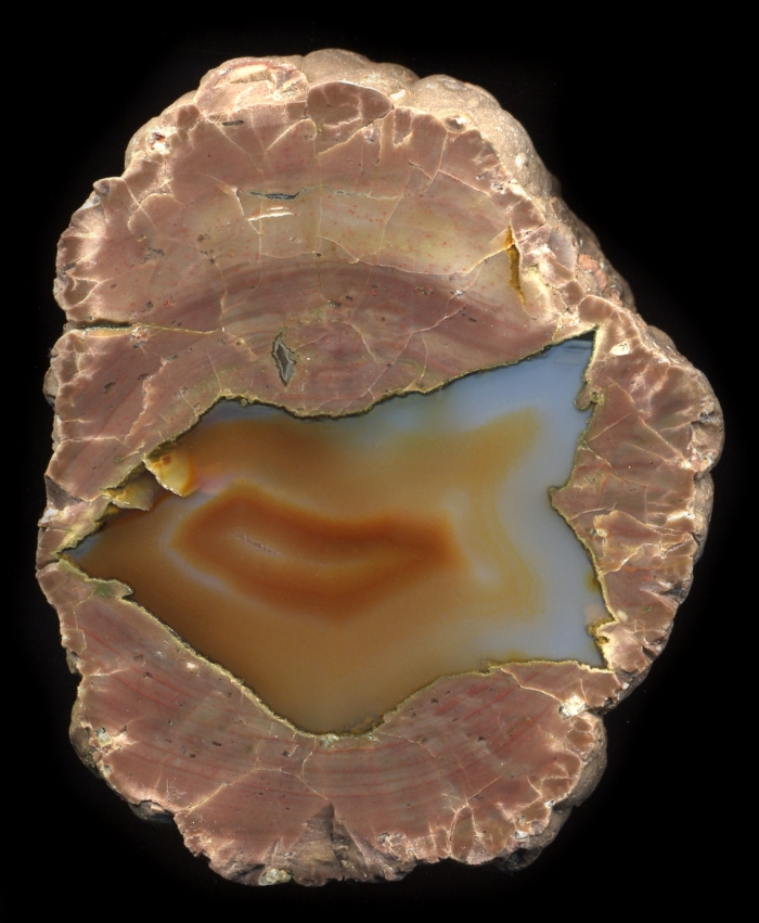 Radford Thunderegg with Colourful Agate